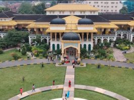 Arsitektur istana maimun