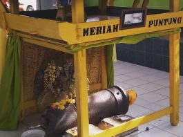 Istana maimun meriam puntung