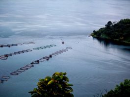 Danau toba unik kepunyaan tagar
