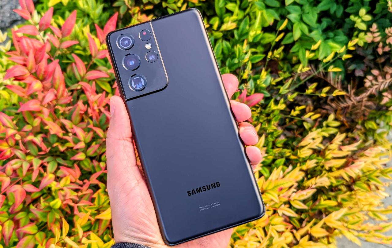 Samsung S24 Plus pakai layar apa