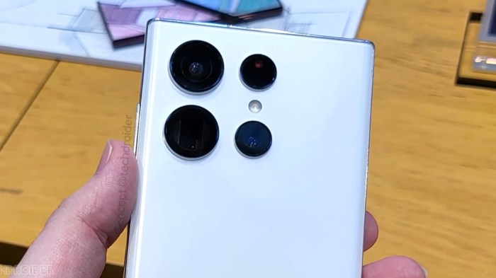 Apakah Samsung Galaxy S24 memiliki fitur kamera telefoto?