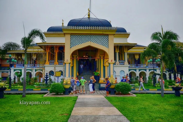 Istana maimun suku apa