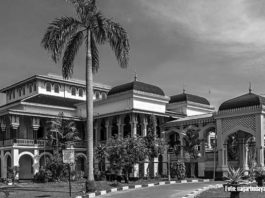 Istana maimun berasal dari
