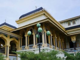 Istana maimun wikipedia