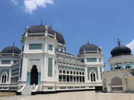 Ikon medan