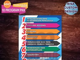 Program pkk