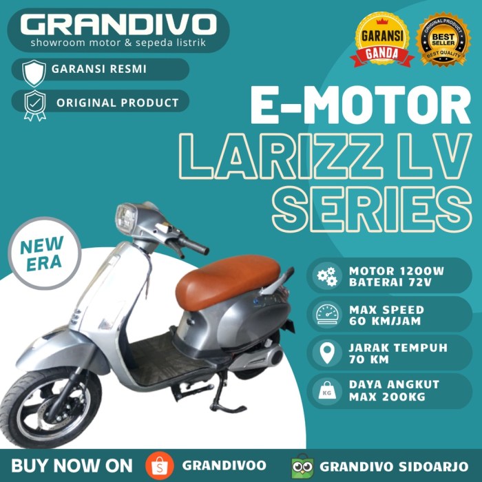 Motor listrik larizz lv