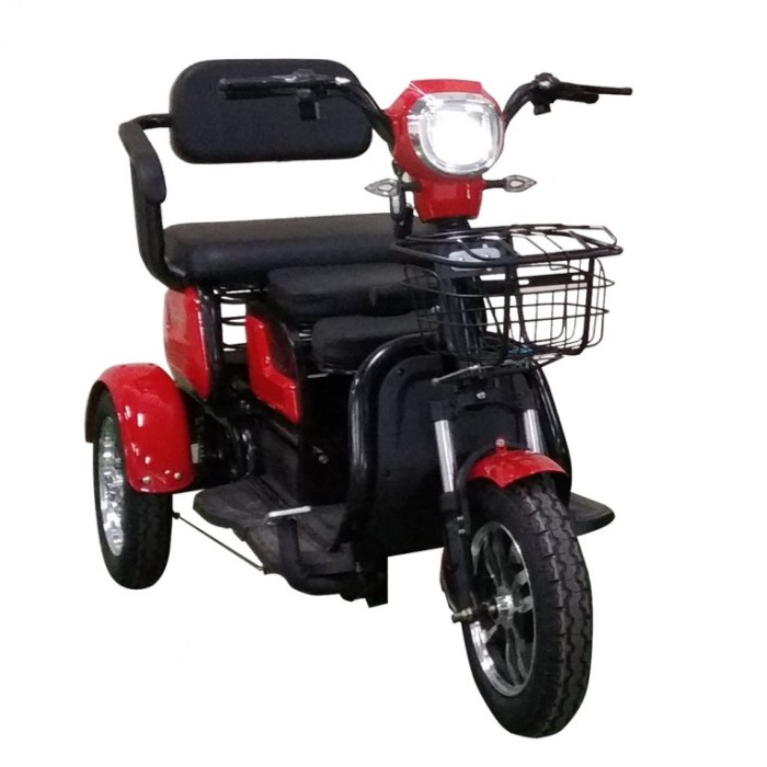 Motor listrik maleo