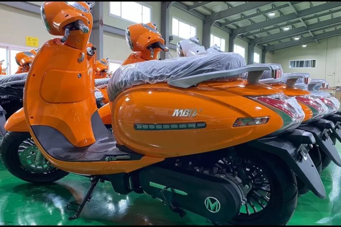 Motor listrik yang dapat subsidi