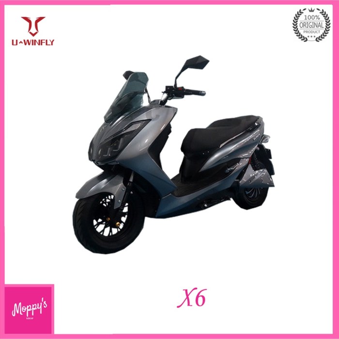 Motor listrik uwinfly x6