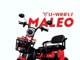 Motor listrik maleo